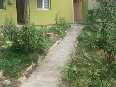 Birouri str Dorobantilor -Platinia
