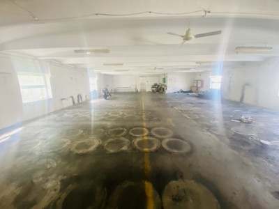 Hala renovata zona Plevnei 