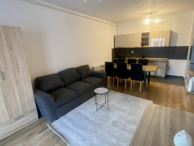 Locuința in zona clujana 